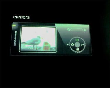 200731516325858711.jpg