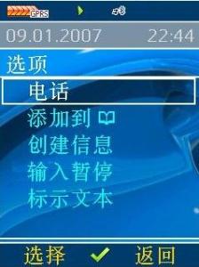 t5.jpg