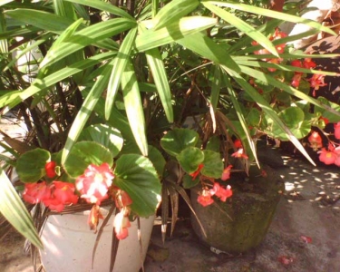 img314.jpg