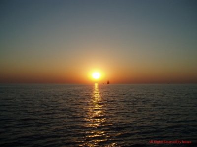 SUNRISE/ĵճ,鸽