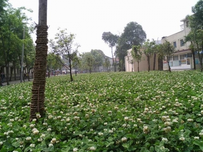CA310018.JPG