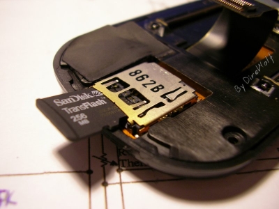 Sany0070.jpg