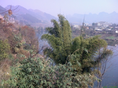 img0015.jpg