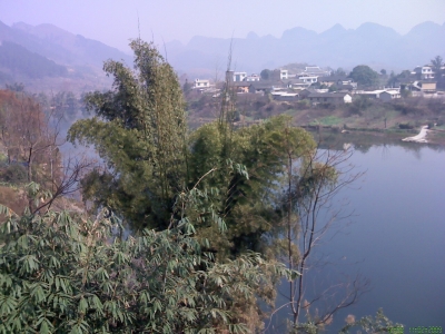 img0016.jpg