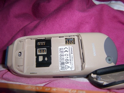 137_7925.JPG
