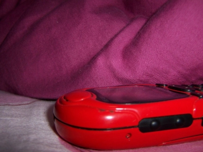 137_7931.JPG