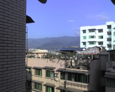 img394.jpg