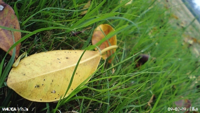 CA340224.JPG