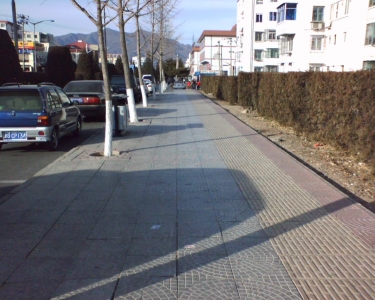 img005.jpg