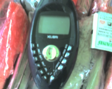 img042.jpg
