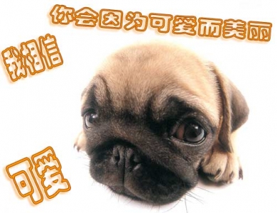 xinsrc_4520803011428159327449.jpg
