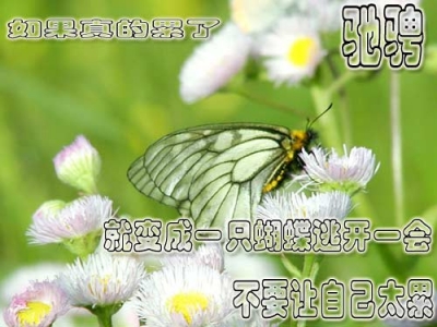 xinsrc_42208030114289762509045.jpg