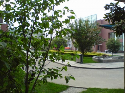 С DSC00010.JPG