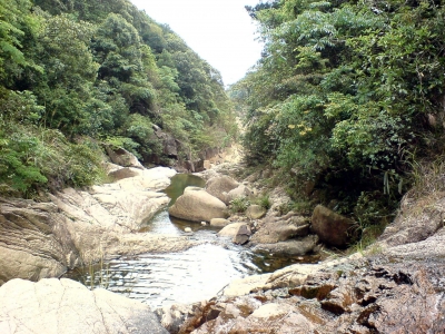 DSC02770.JPG