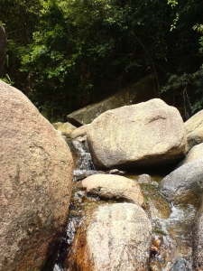 DSC02782.JPG