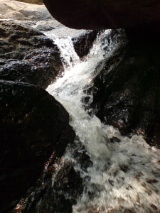 DSC02791.JPG