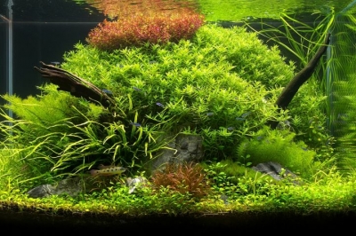 0 (30).jpg