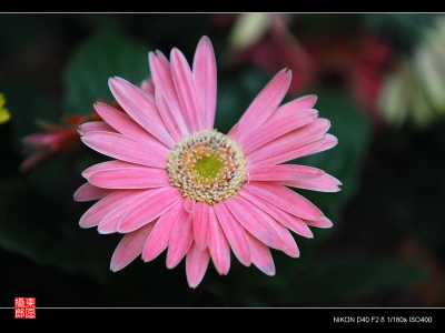 DSC_0086.jpg