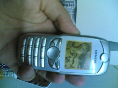 20090620(006).jpg