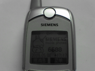 SA330211.JPG