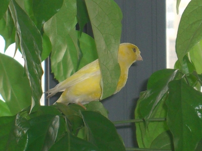 CIMG0025.JPG