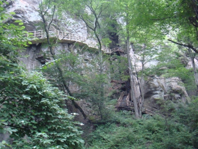 DSC02168.jpg