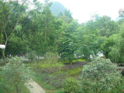 P1150124.jpg
