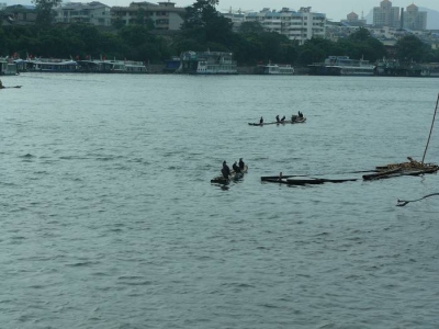 P1150155.jpg