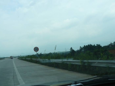 P1150205.jpg