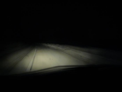P1150236.jpg