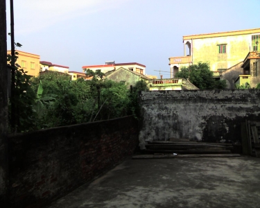img254.jpg