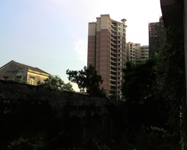 img255.jpg