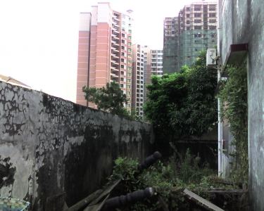 img256.jpg
