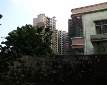 img253.jpg