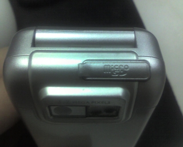 img315.jpg
