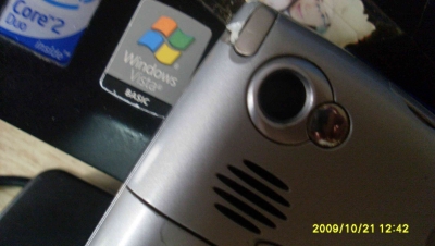 SL375242.JPG