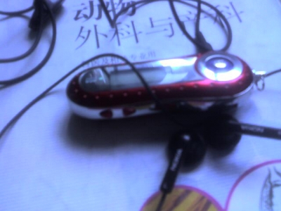 img030.jpg