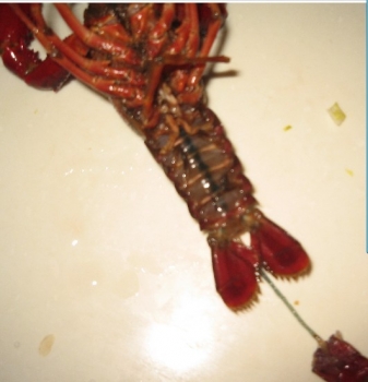 200821492617972.jpg