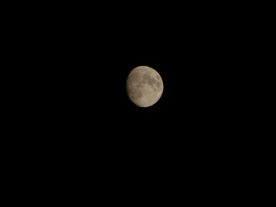 P9010164.JPG