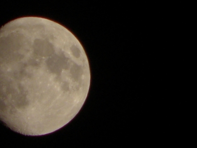 P9010165.JPG