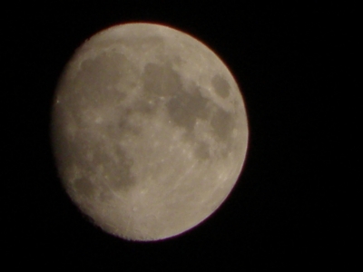 P9010166.JPG