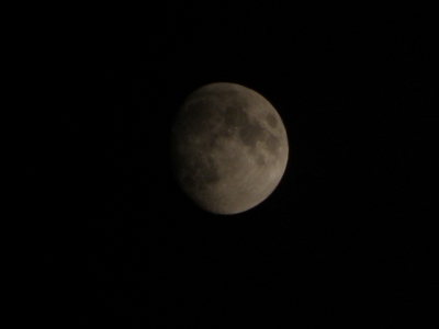 P9010167.JPG