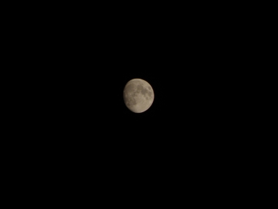 P9010162.JPG