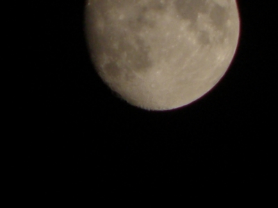 P9010163.JPG