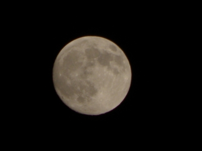 P9030171.JPG