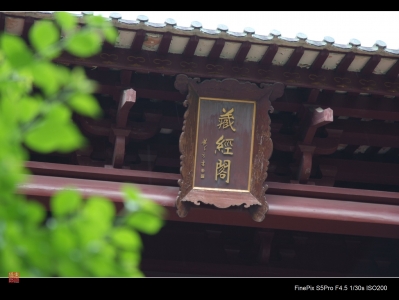 DSCF2148.jpg