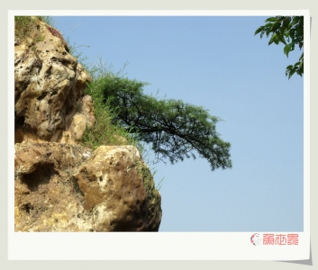 DSCF0103.JPG