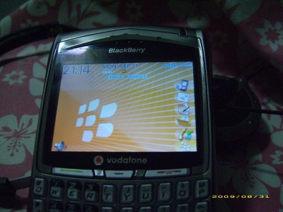 Ƭ 029.JPG
