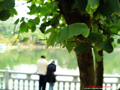 20100103170133.jpg