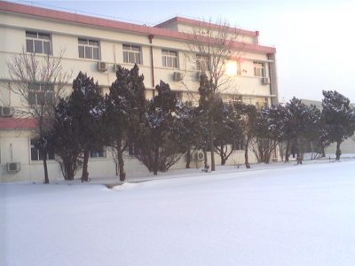 Foto_0007.jpg